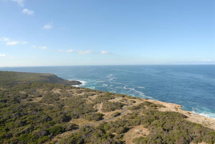 Cape Nelson Lighthouse Villa Portland Exteriör bild